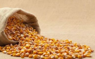 2018年廣東省春播作物種子市場(chǎng)供求與價(jià)格權(quán)威分析