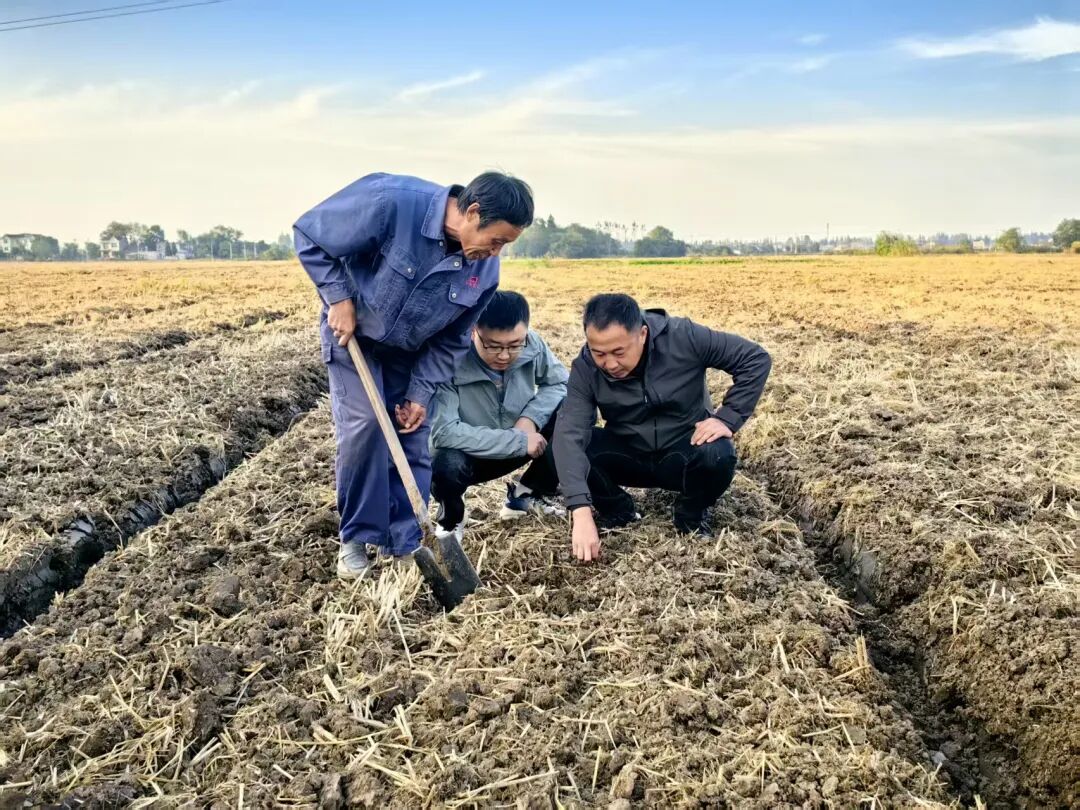 “農(nóng)技+農(nóng)機(jī)”雙擎驅(qū)動(dòng)，為秋播秋種注入優(yōu)質(zhì)“種子力量”